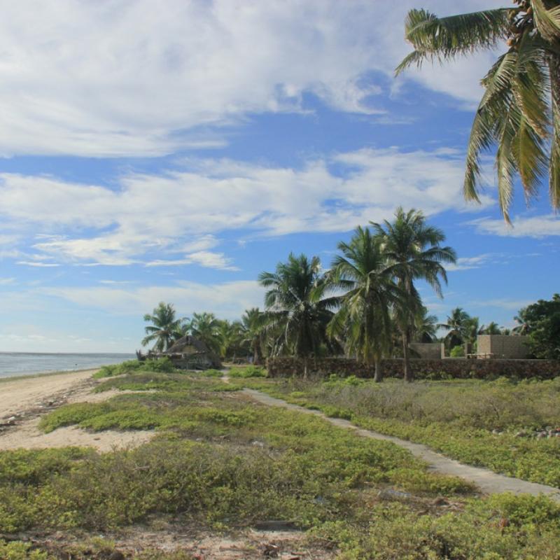 Terrain – villa - maison – propriété – à vendre – à louer – location - location longue durée – location à l’année – investissement – achat – vente – plage – bord de mer - sable blanc – Indonésie – Roti island – Bali – chambre – notaire – consultant - juridique – création - société – administration – voyage – entreprise – hôtel – commerce – restaurant – projet – visa – permis – travail – retraite – informations – découverte – aventure – produits – naturels – spa – salon – coiffure – réflexologie – savon – shampoing – anti-moustique – tourisme – plaisir – nature – surf – plongée – exploration – exotique – exotisme – massage – traditionnel – huile de massage – coucher de soleil – photos – galerie – soin de beauté – pédicure – manucure – agent immobilier – professionnel-Land - villa - house - property - for sale - rent - rental - leasing - rent annually - investment - purchase - sale - beach - sea - white sand - Indonesia - Rote island - Bali - bedroom - notary - consultant - legal - creation - company - administration - travel - business - hotel - shop - restaurant - project - visa - permit - work - retirement - information - discovery - adventure - products - natural - spa - lounge - hairdresser - reflexology - soap - shampoo – anti-mosquito – pleasure – nature – surf – diving – exploration - exotic - exotism - massage - traditional - massage oil - sunset - pictures - gallery - beauty treatment - pedicure – manicure – real estate agent – professional-Tanah - villa - rumah - properti - Dijual - disewakan - dikontrakan - menyewa per tahun - investasi - pembelian - penjualan - pantai - laut - pasir putih - Indonesia - pulau Roti - Bali - bedroom - notaris - konsultan - hukum - penciptaan - wisata - - bisnis - Hotel - bisnis - restoran - proyek - visa - izin - pekerjaan - pensiun - informasi - penemuan - petualangan - produk - spa - - alam ruang duduk - penata rambut - reflexology masyarakat - administrasi - sabun - shampoo – anti-nyamuk - Pariwisata - menyenangkan - semacam - surfing - diving – eksplorasi - eksotik - eksotis - pijat - tradisional - pijat minyak - sunset - Foto - galeri - perawatan kecantikan - pedicure – manicure – properti agen - Profesional